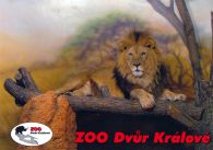 propagace dvur_kralove 530