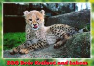 propagace dvur_kralove 460