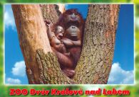 propagace dvur_kralove 461