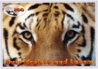 propagace dvur_kralove 531