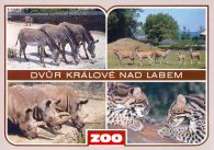 propagace dvur_kralove 433