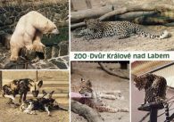 propagace dvur_kralove 493
