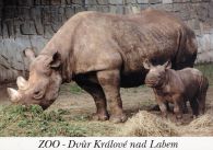 propagace dvur_kralove 482