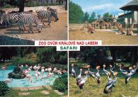 propagace dvur_kralove 494