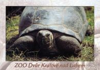 propagace dvur_kralove 466