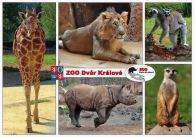 propagace dvur_kralove 508