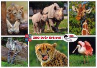 propagace dvur_kralove 509