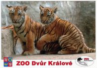 propagace dvur_kralove 558