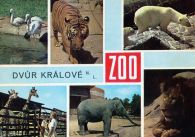 propagace dvur_kralove 430