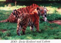 propagace dvur_kralove 480