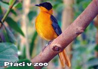 propagace dvur_kralove 1076