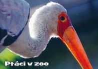 propagace dvur_kralove 1011