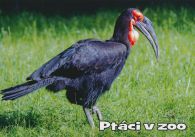 propagace dvur_kralove 1058
