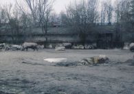 propagace dvur_kralove 724