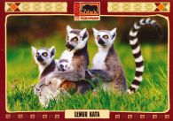 propagace dvur_kralove 591