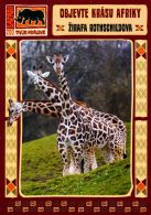 propagace dvur_kralove 1494