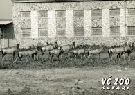 propagace dvur_kralove 272