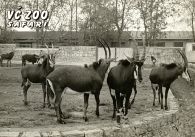propagace dvur_kralove 277