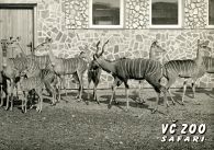 propagace dvur_kralove 278