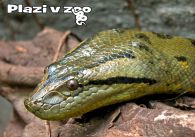 propagace dvur_kralove 1129