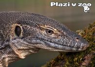 propagace dvur_kralove 1220