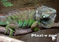 propagace dvur_kralove 1224