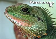 propagace dvur_kralove 1211