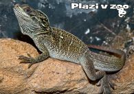 propagace dvur_kralove 1212