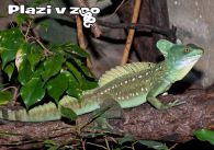 propagace dvur_kralove 1222