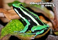 propagace dvur_kralove 1266