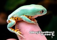 propagace dvur_kralove 1267