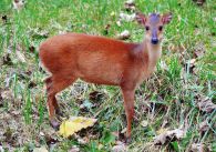propagace dvur_kralove 762