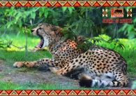 propagace dvur_kralove 586