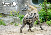 propagace dvur_kralove 824
