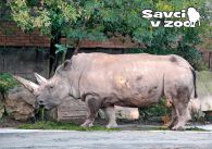 propagace dvur_kralove 870