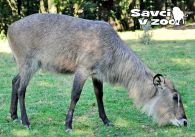 propagace dvur_kralove 927