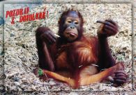 propagace dvur_kralove 452
