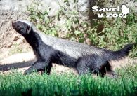 propagace dvur_kralove 842