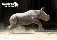 propagace dvur_kralove 873