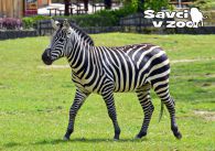 propagace dvur_kralove 902