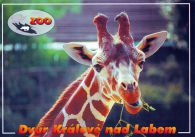 propagace dvur_kralove 547