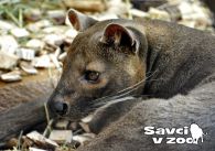 propagace dvur_kralove 831