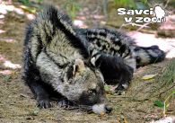 propagace dvur_kralove 836