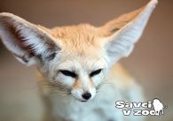 propagace dvur_kralove 830