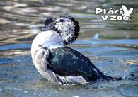 propagace dvur_kralove 1119