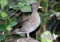 propagace dvur_kralove 1108