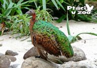 propagace dvur_kralove 1122