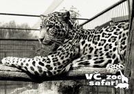 propagace dvur_kralove 286