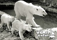 propagace dvur_kralove 290