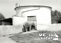 propagace dvur_kralove 305